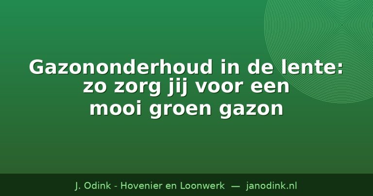 Gazononderhoud in de lente: zo zorg jij voor een mooi groen gazon