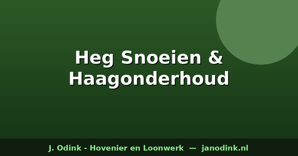 Heg Snoeien: Tips voor Perfect Haagonderhoud