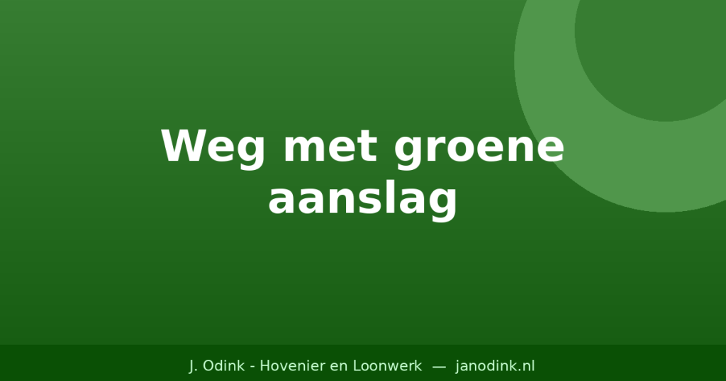 Weg met Groene Aanslag: Tips voor een Sprankelende Schoonmaak