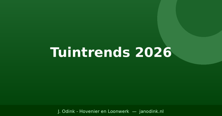 Tuintrends 2026: dit zijn de populairste stijlen