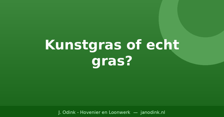 Kunstgras of echt gras? De voor- en nadelen