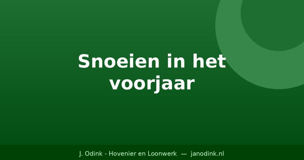Snoeien in het voorjaar: wanneer en hoe doe je het goed?