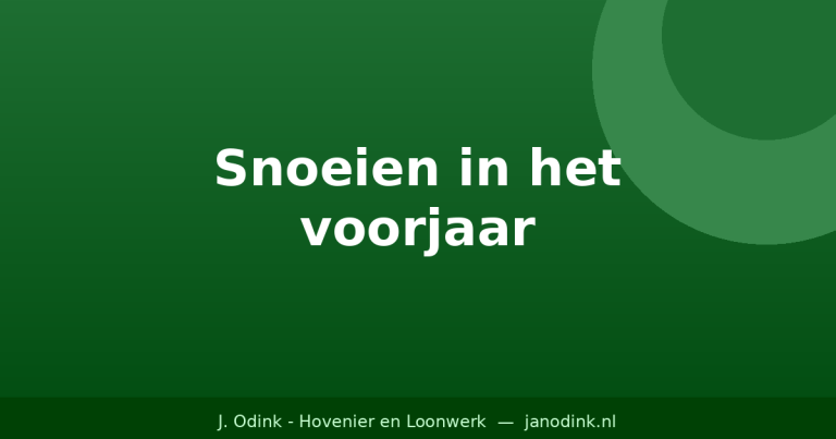 Snoeien in het voorjaar: wanneer en hoe doe je het goed?