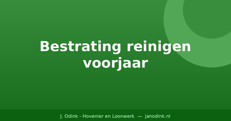 Bestrating reinigen in het voorjaar: zo doe je het goed